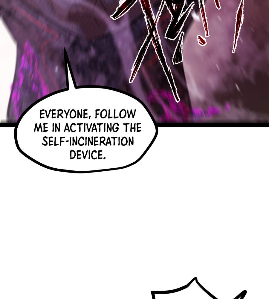 81
