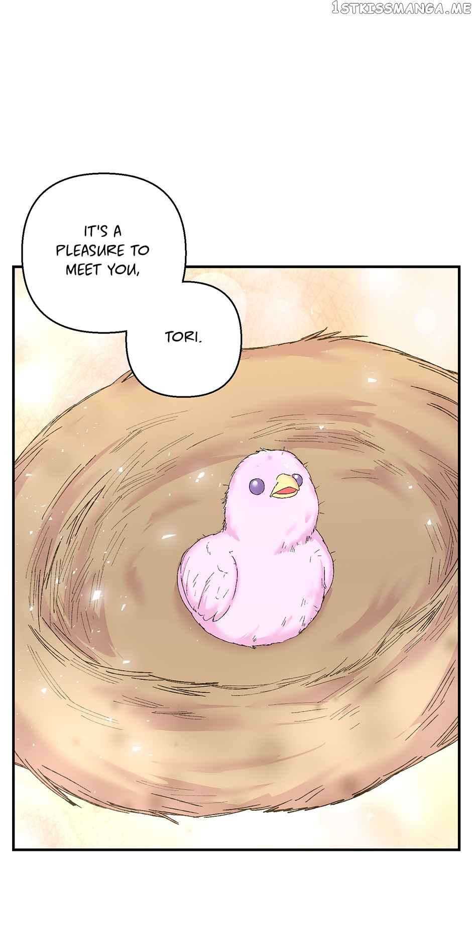 53