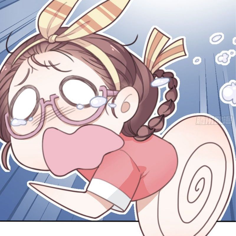 81