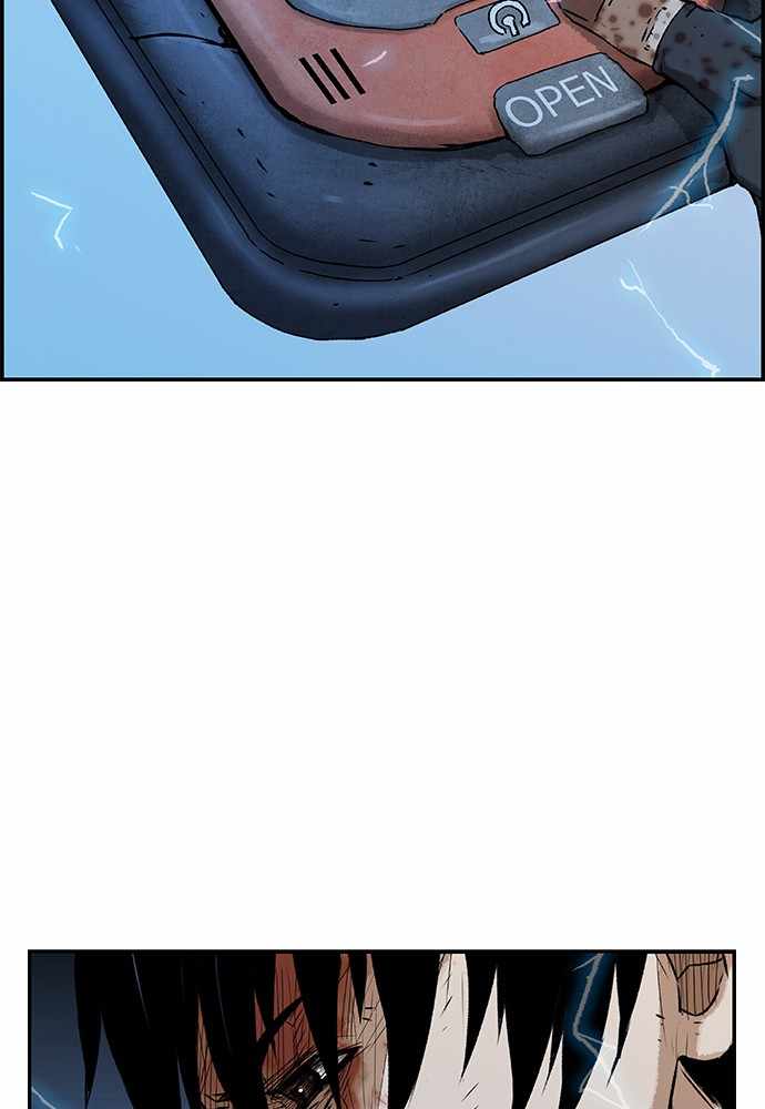 81