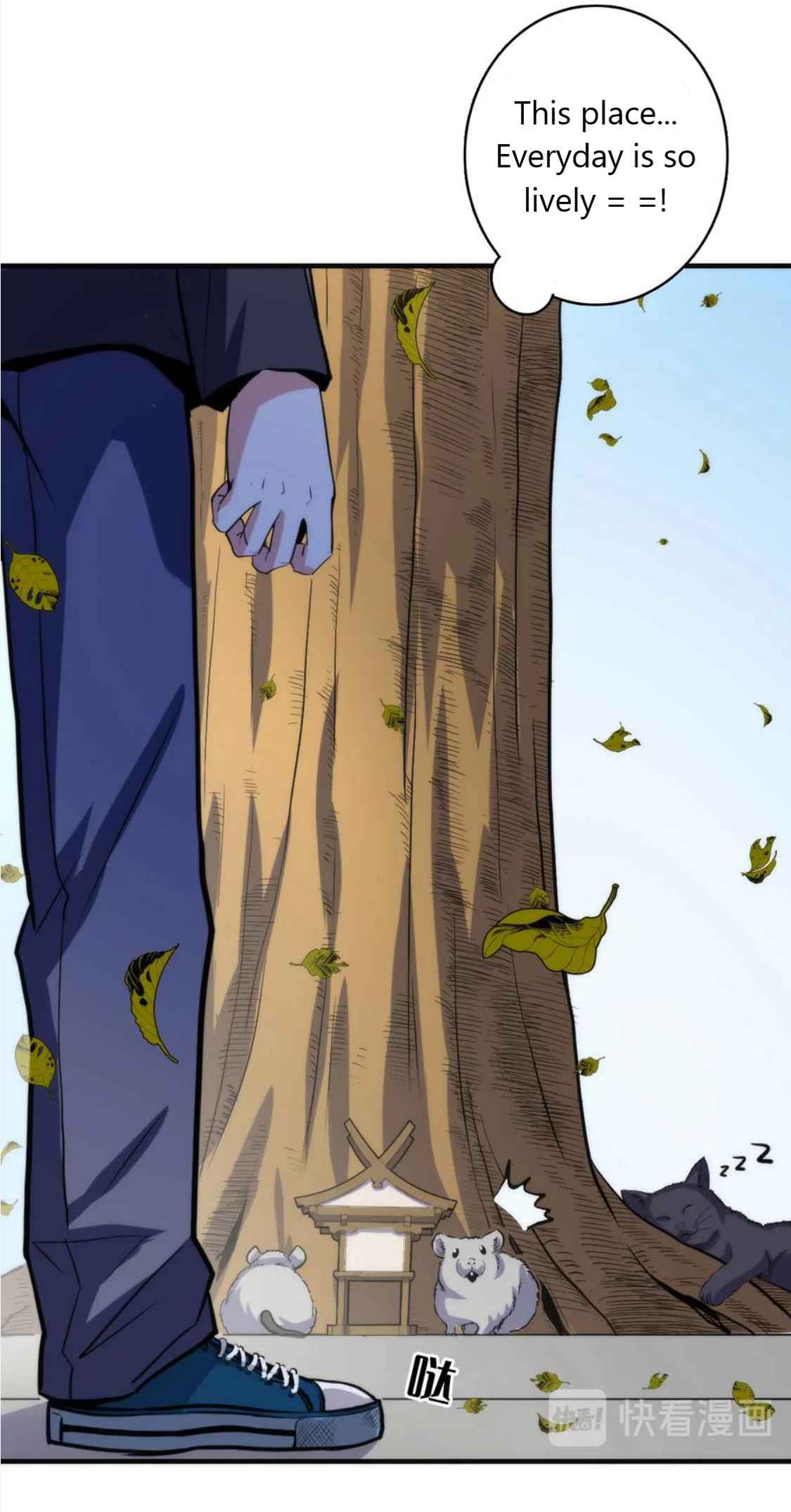 27