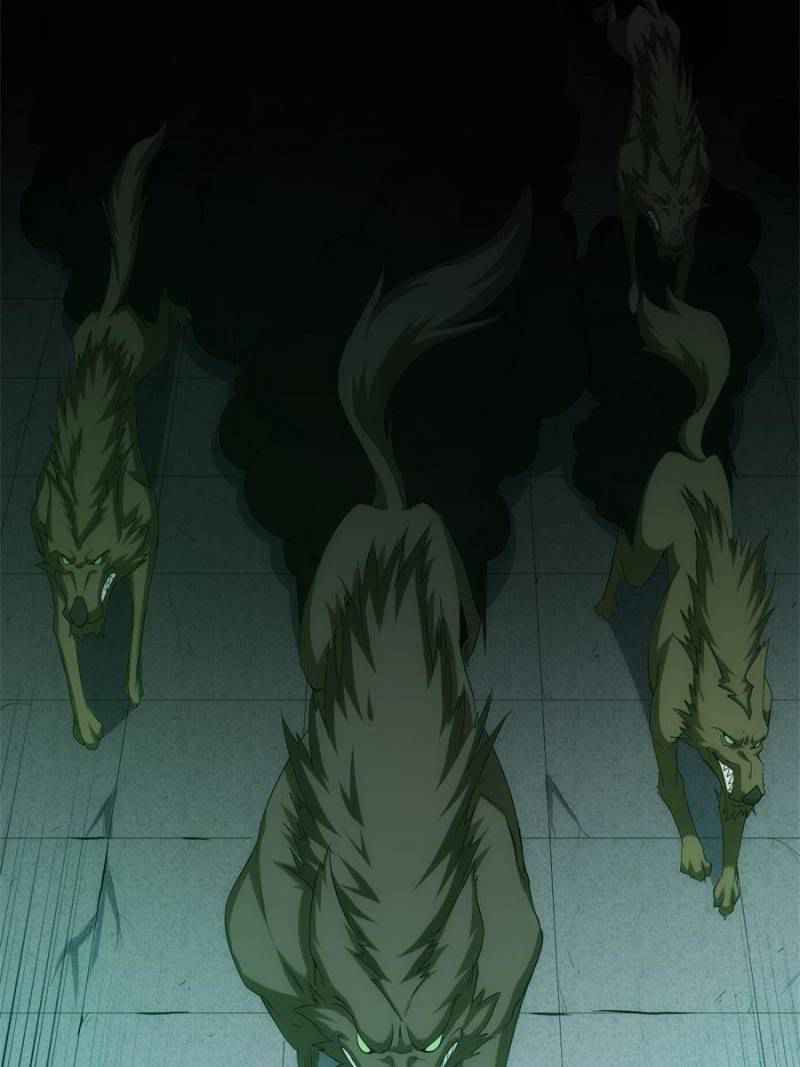 43