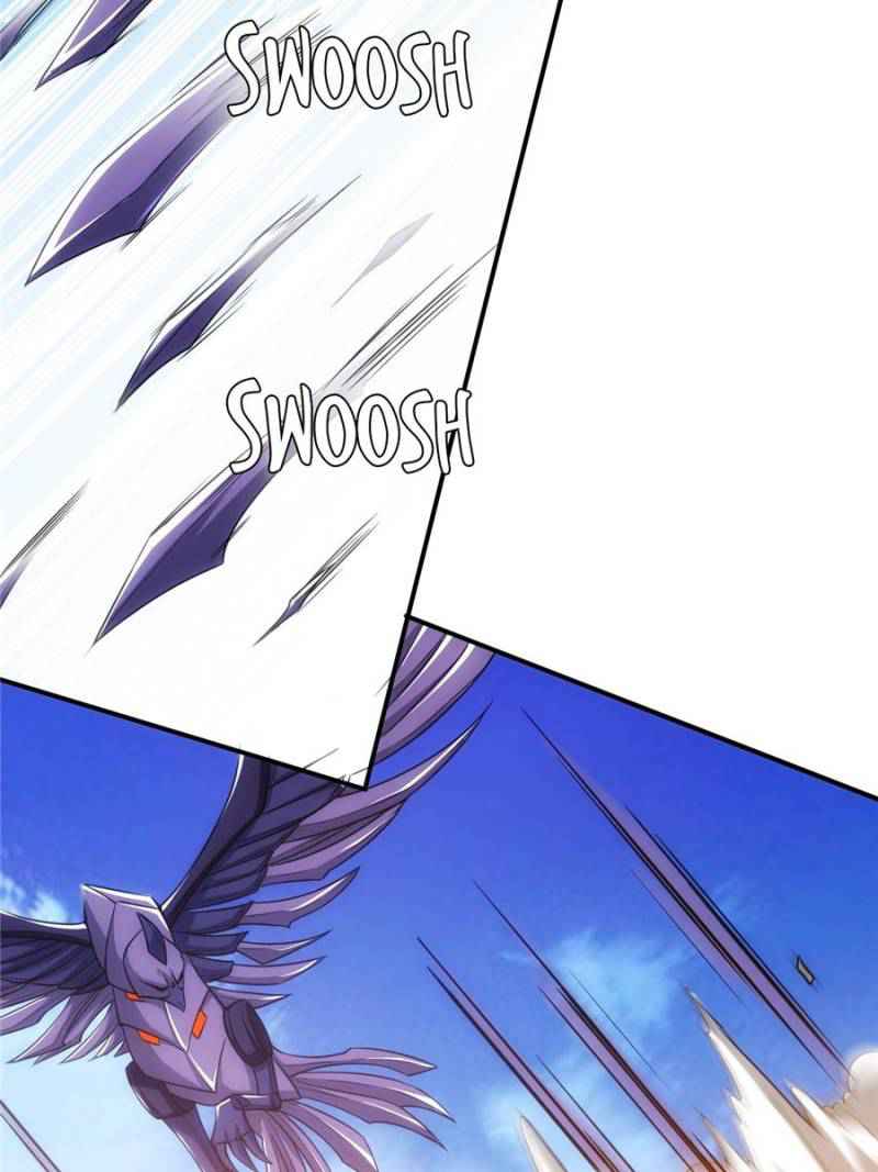 43