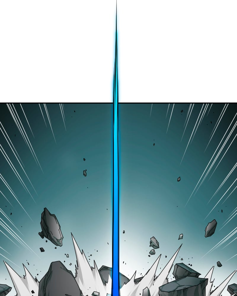 81