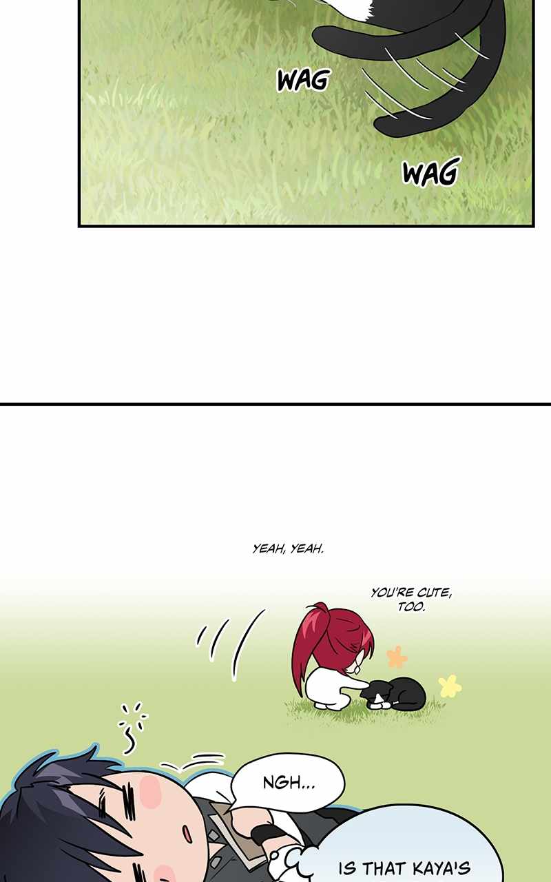 51