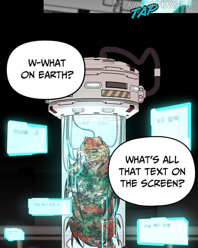 46