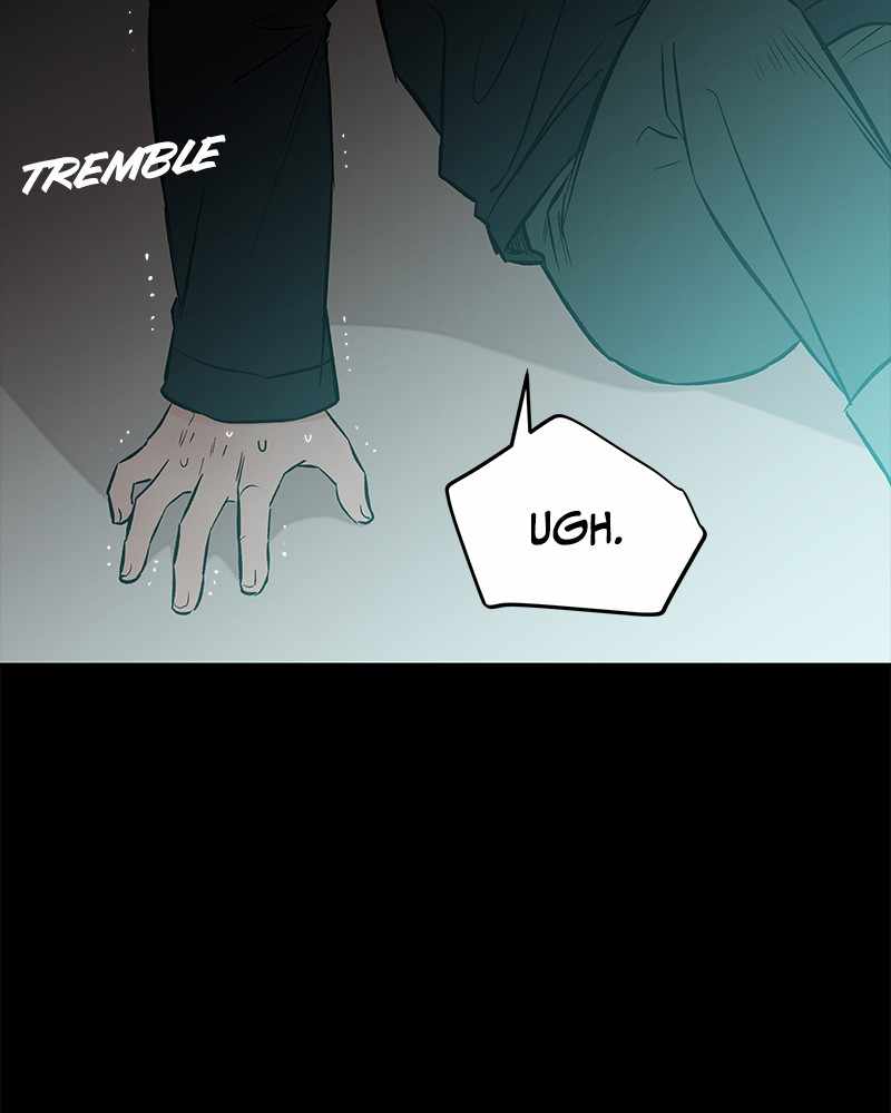 81