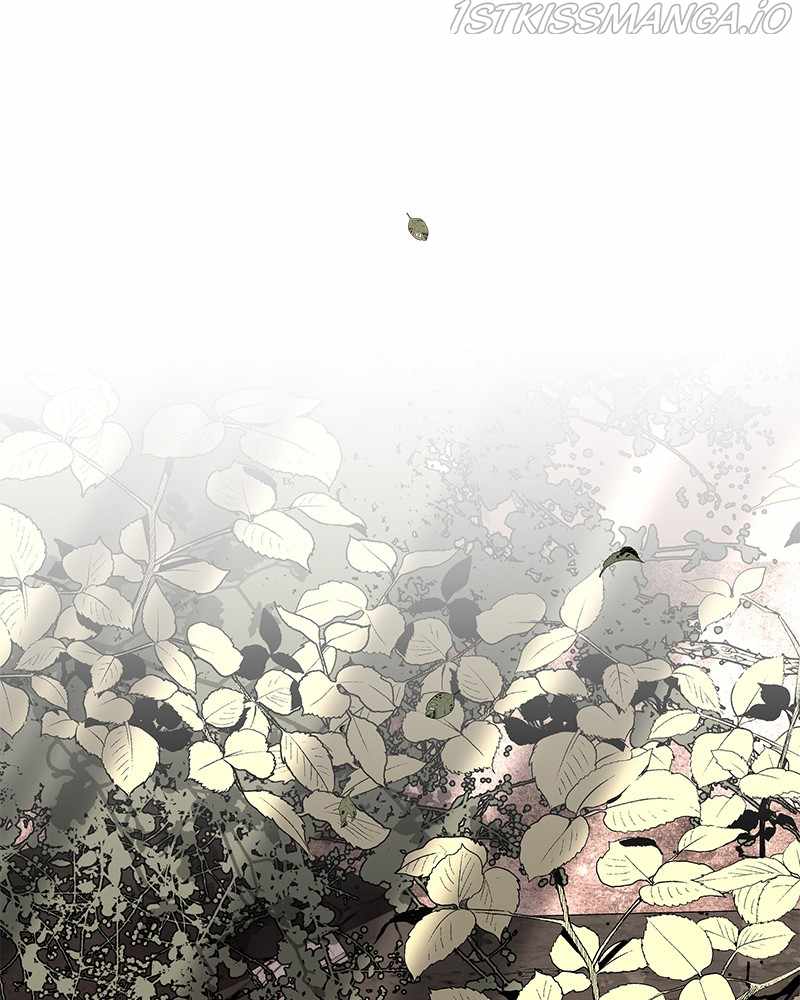 177