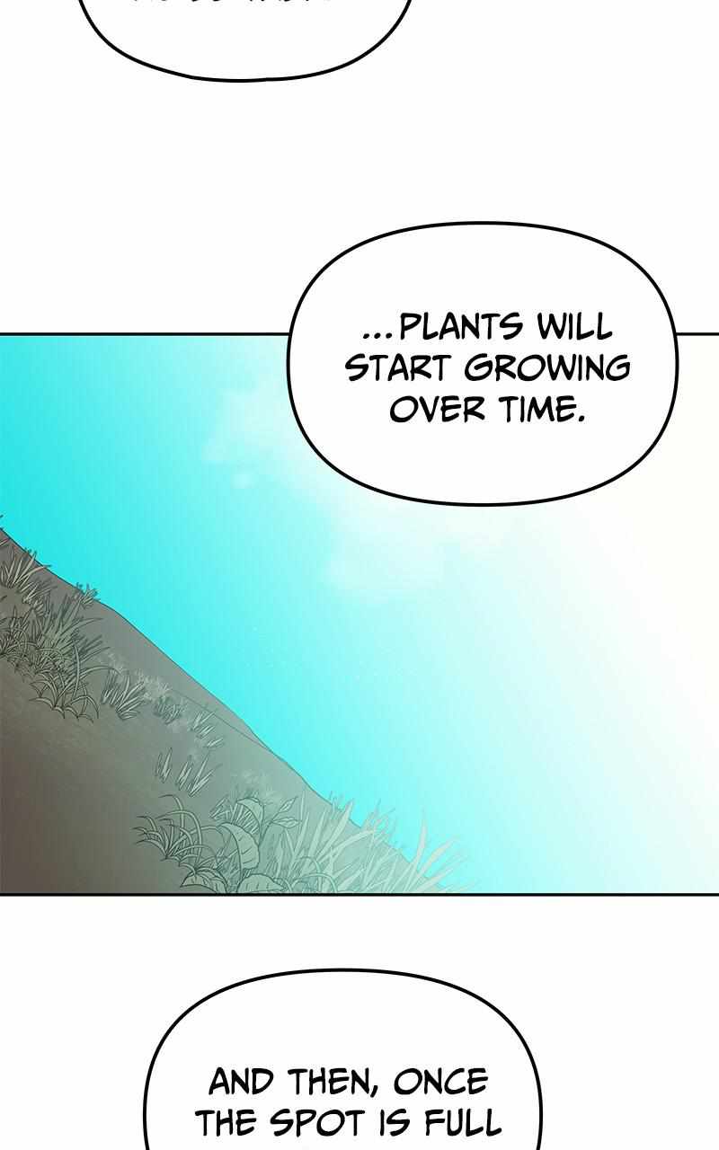 117