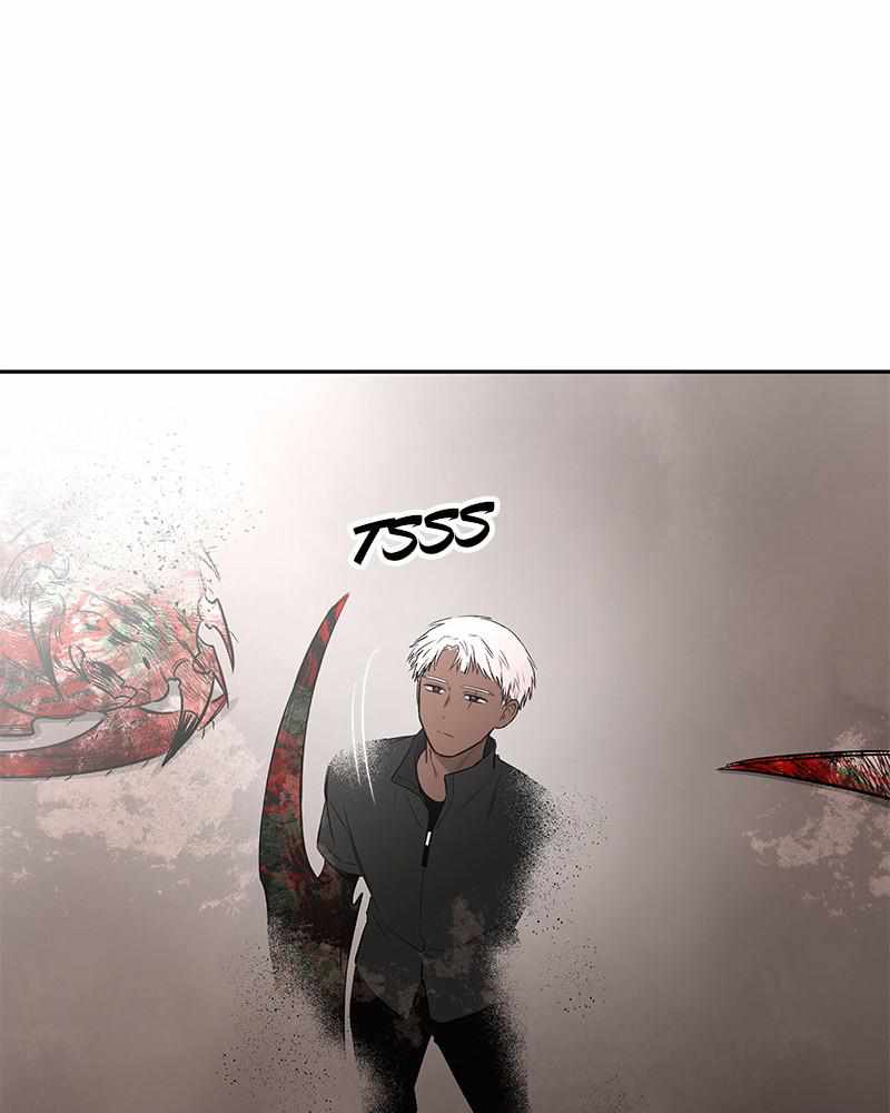 66