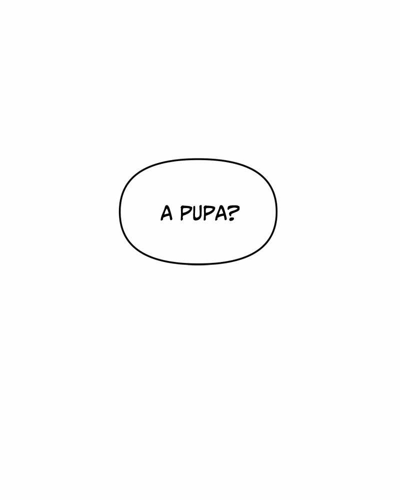 144