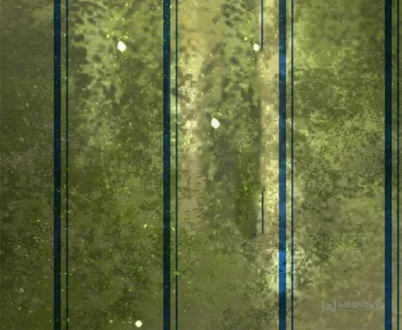 63