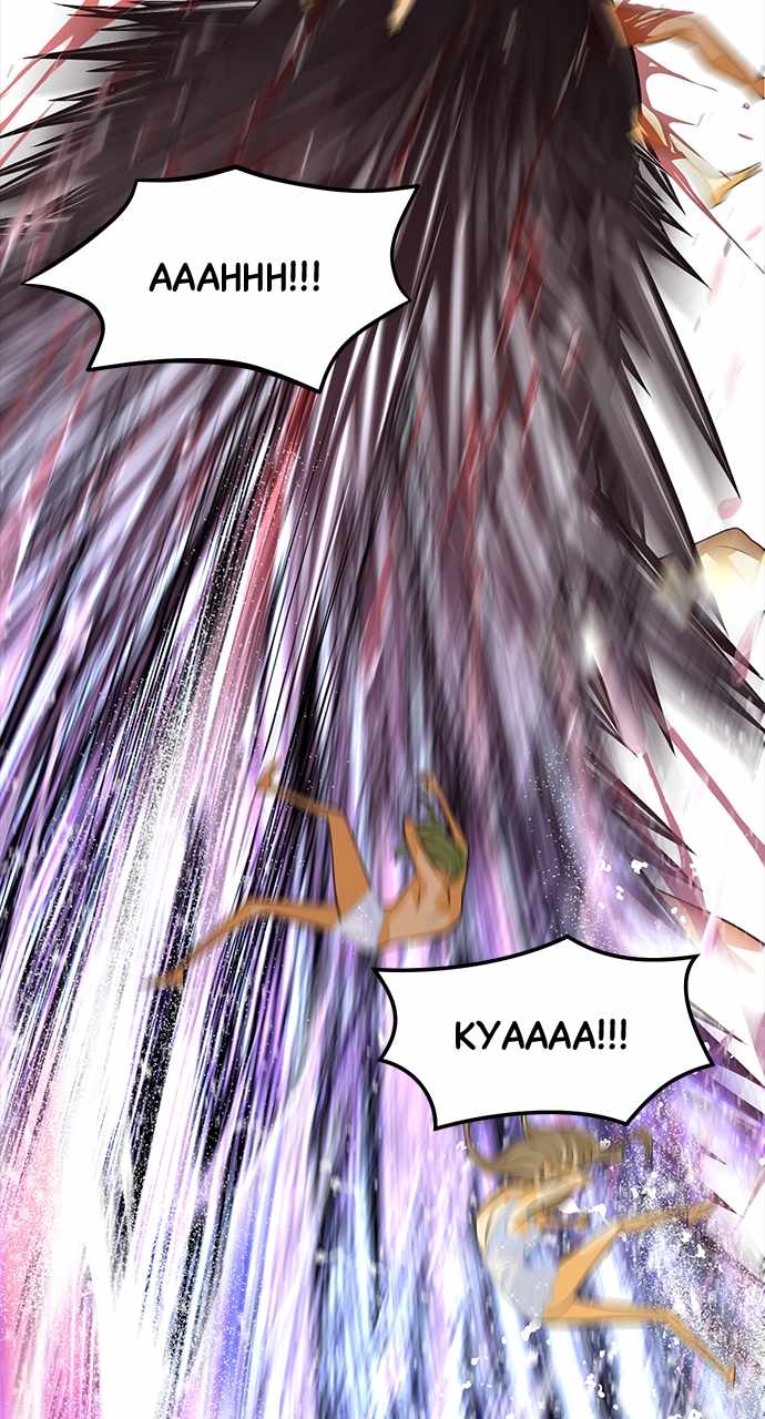 81