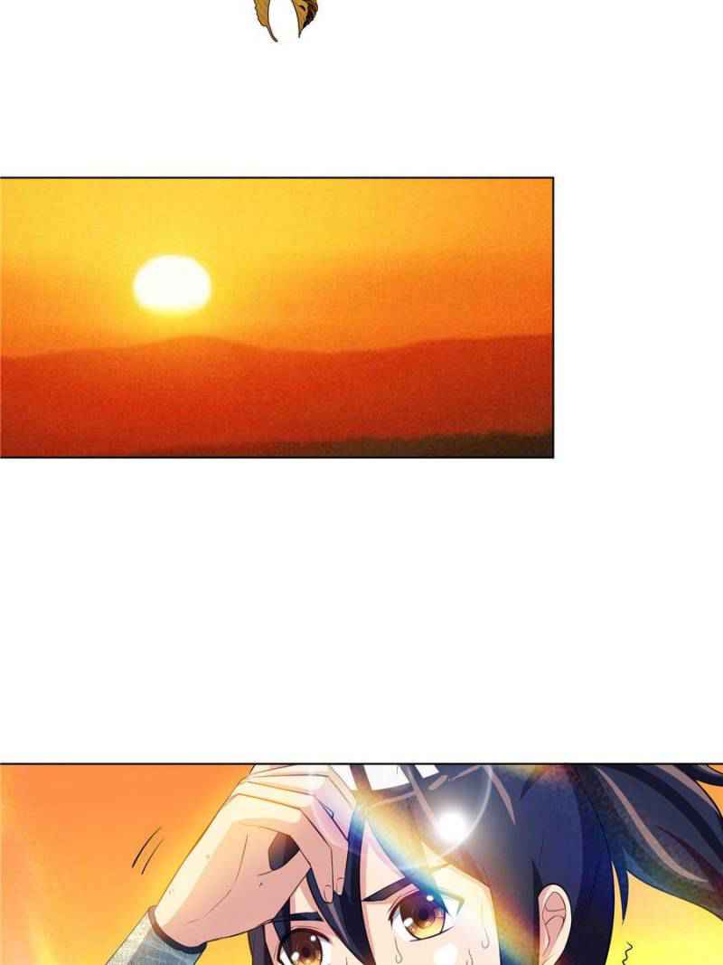41