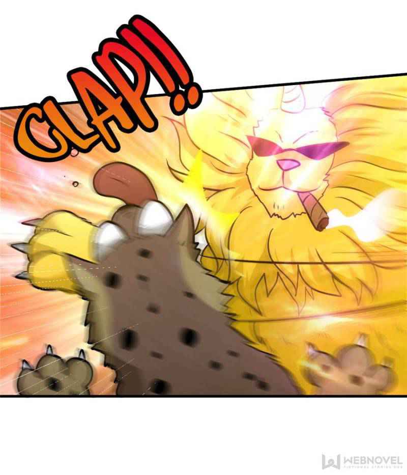 29