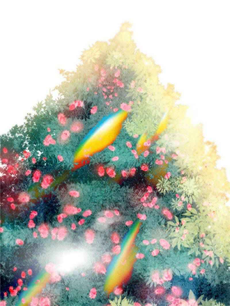 23