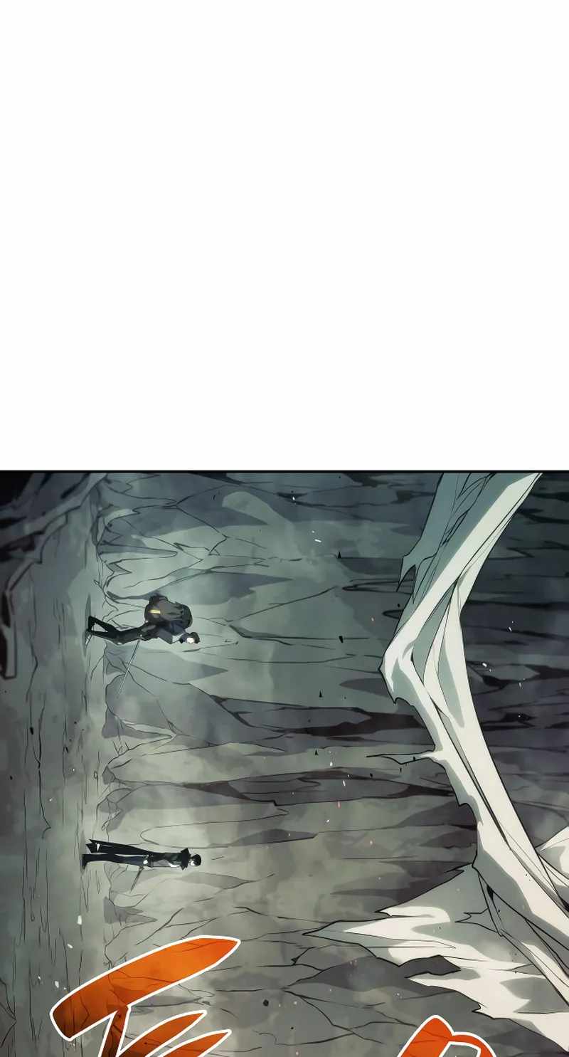 81