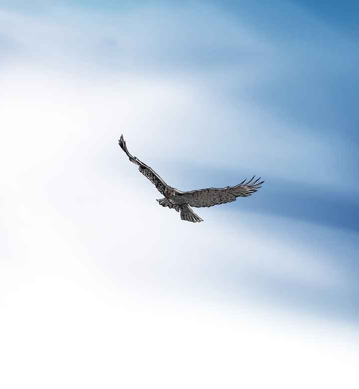 6