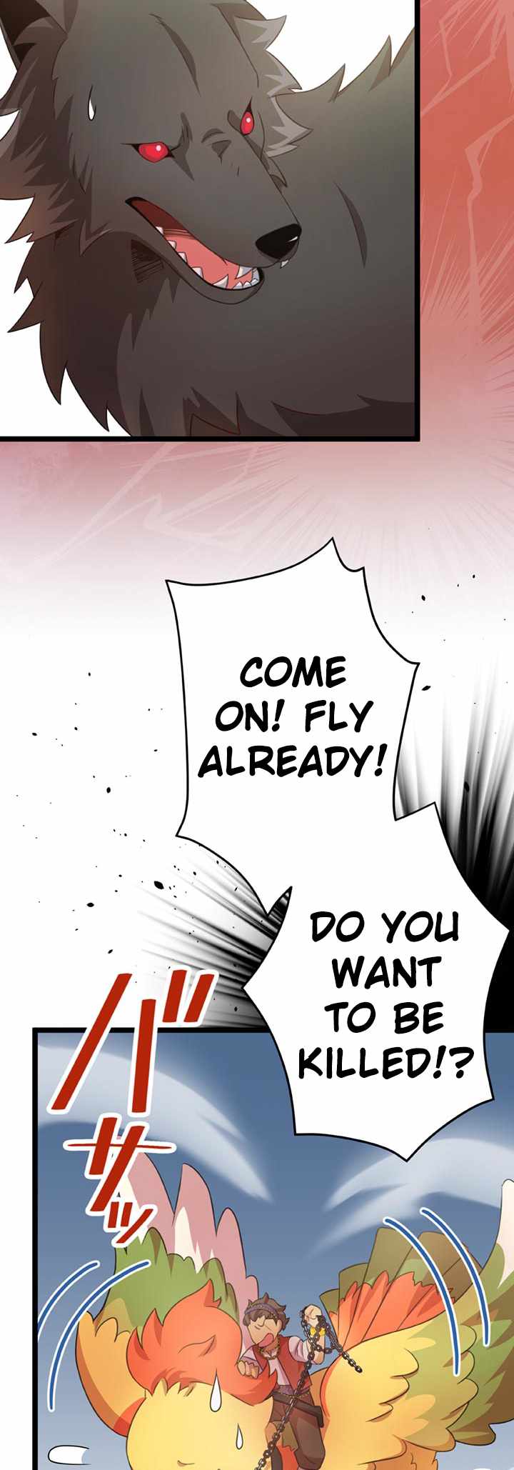 43