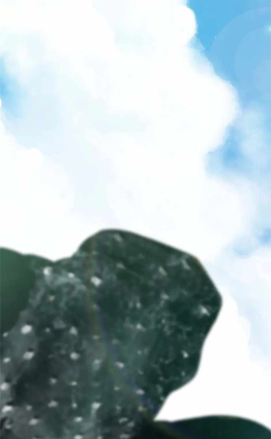 77