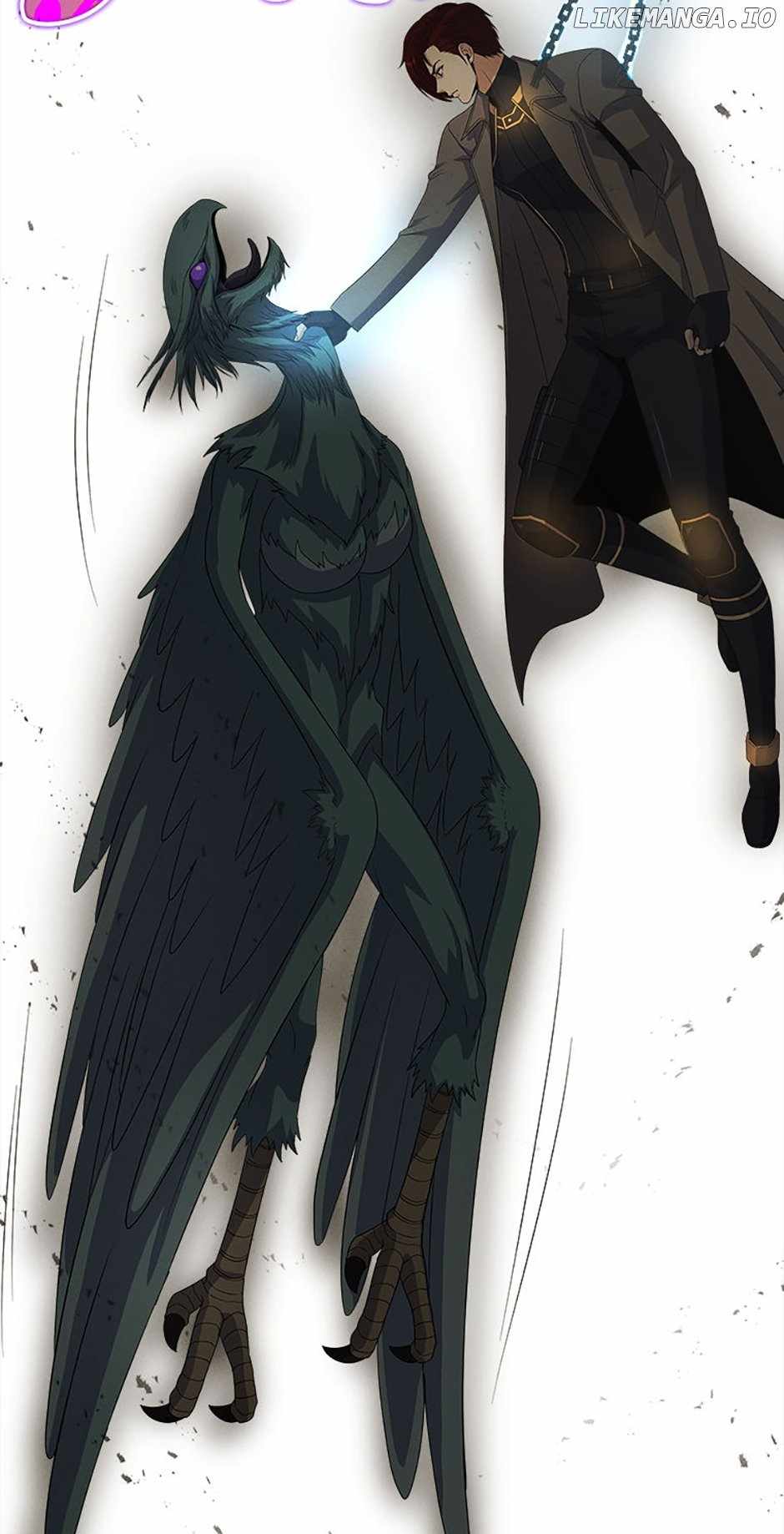 41