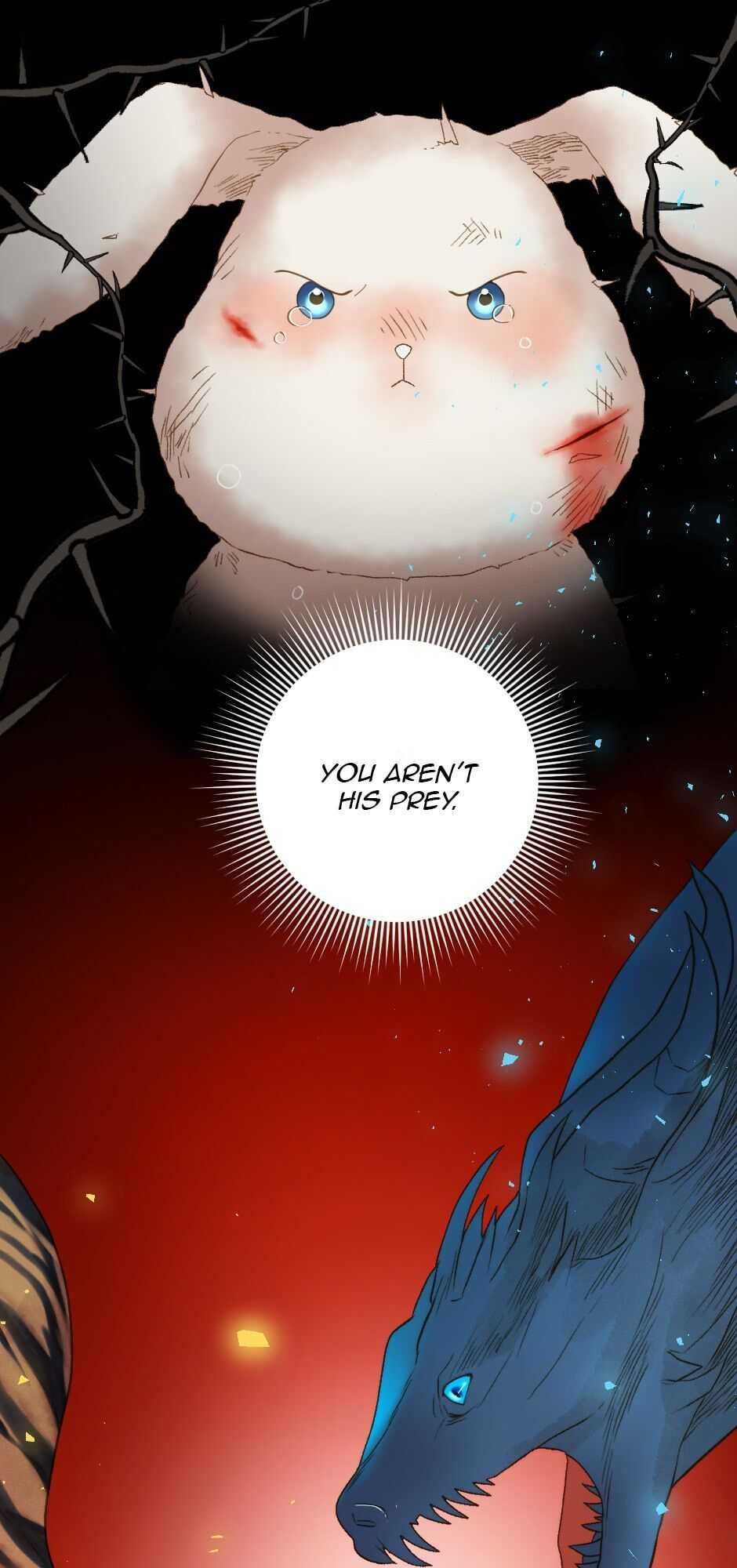 43