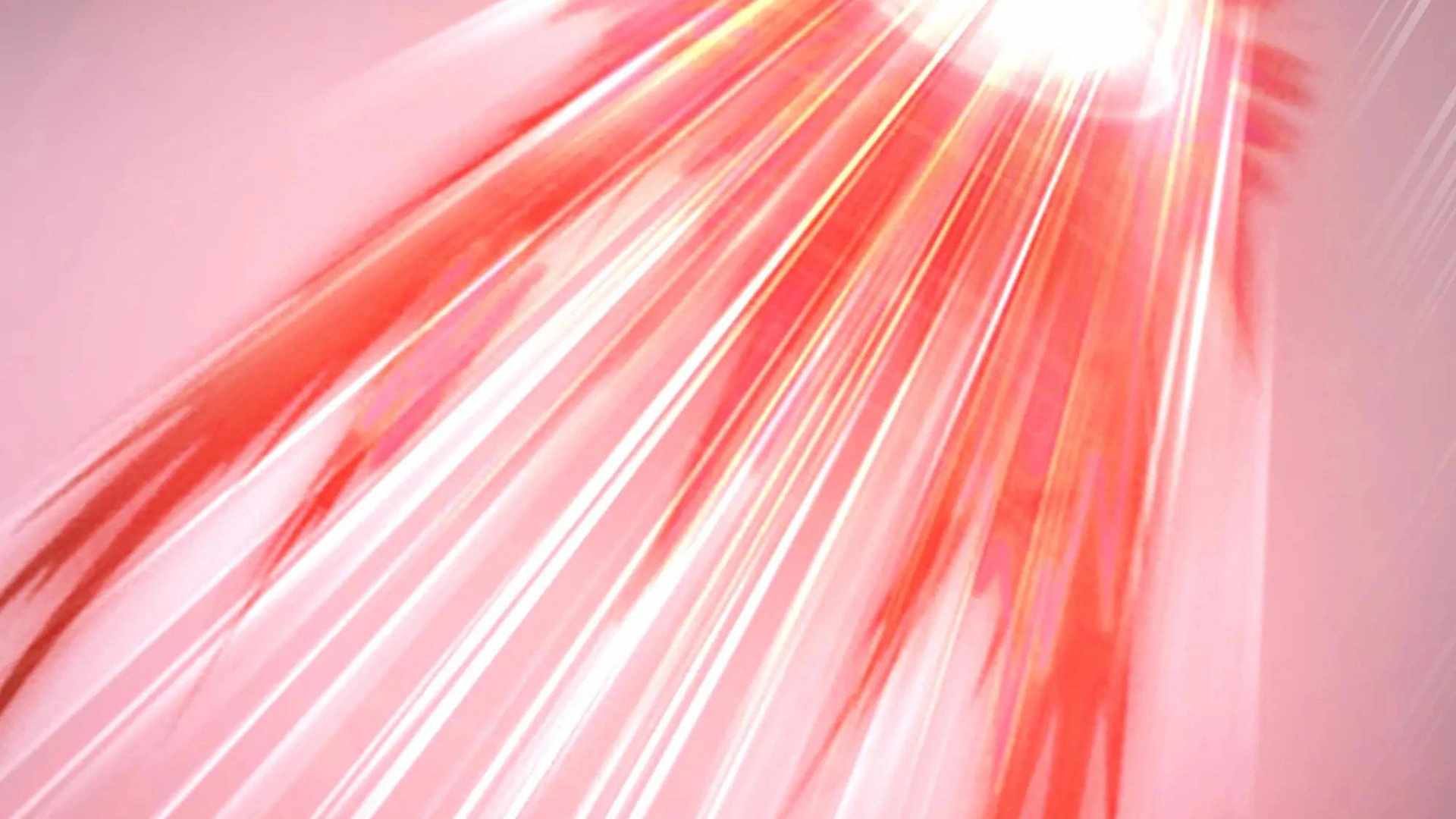81