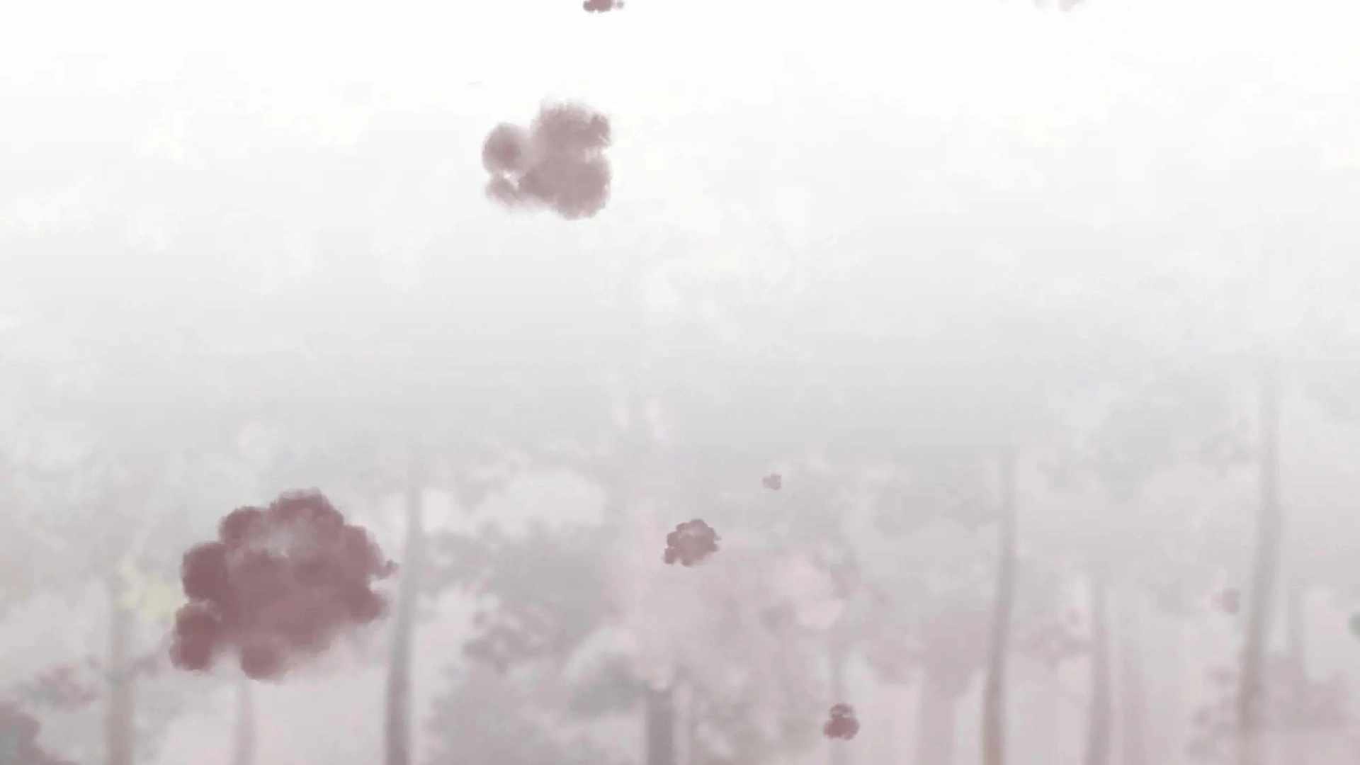 61
