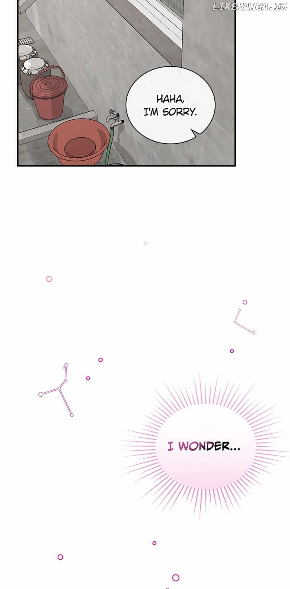 81