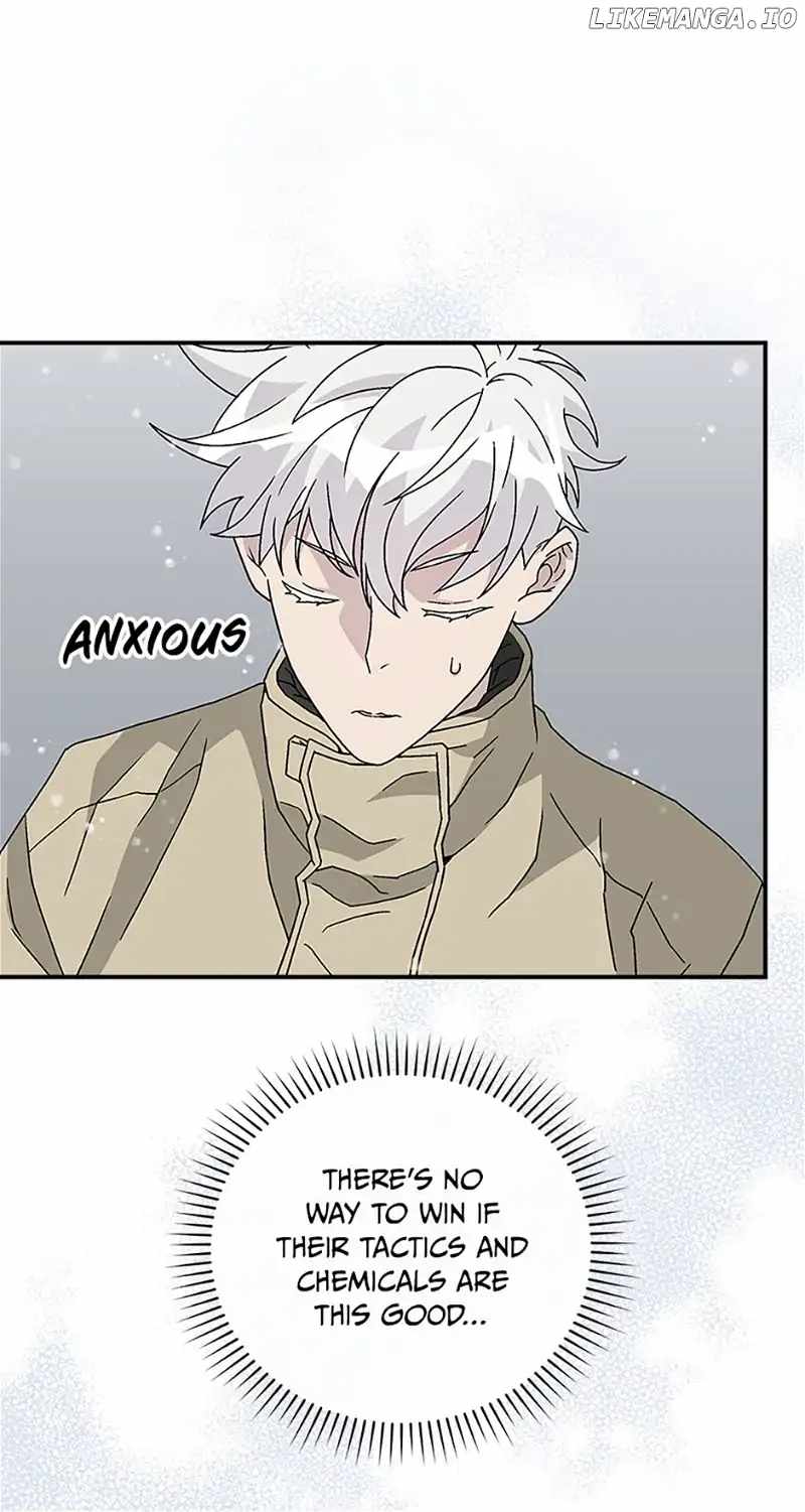 41