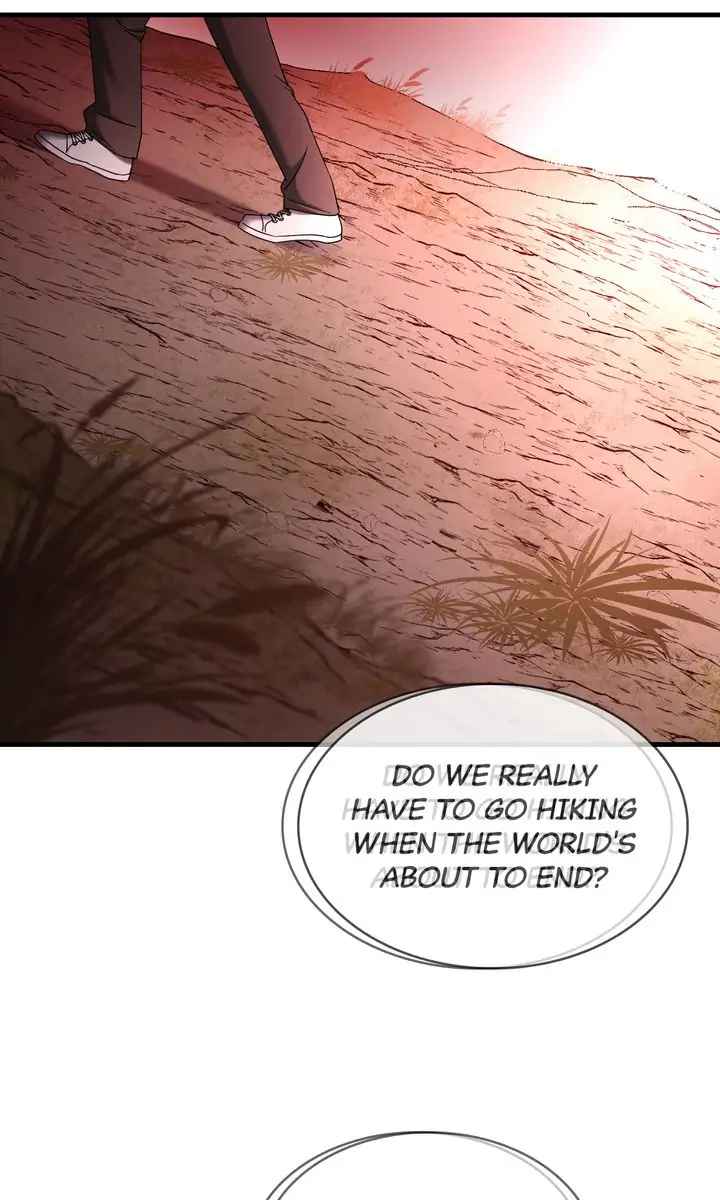 66