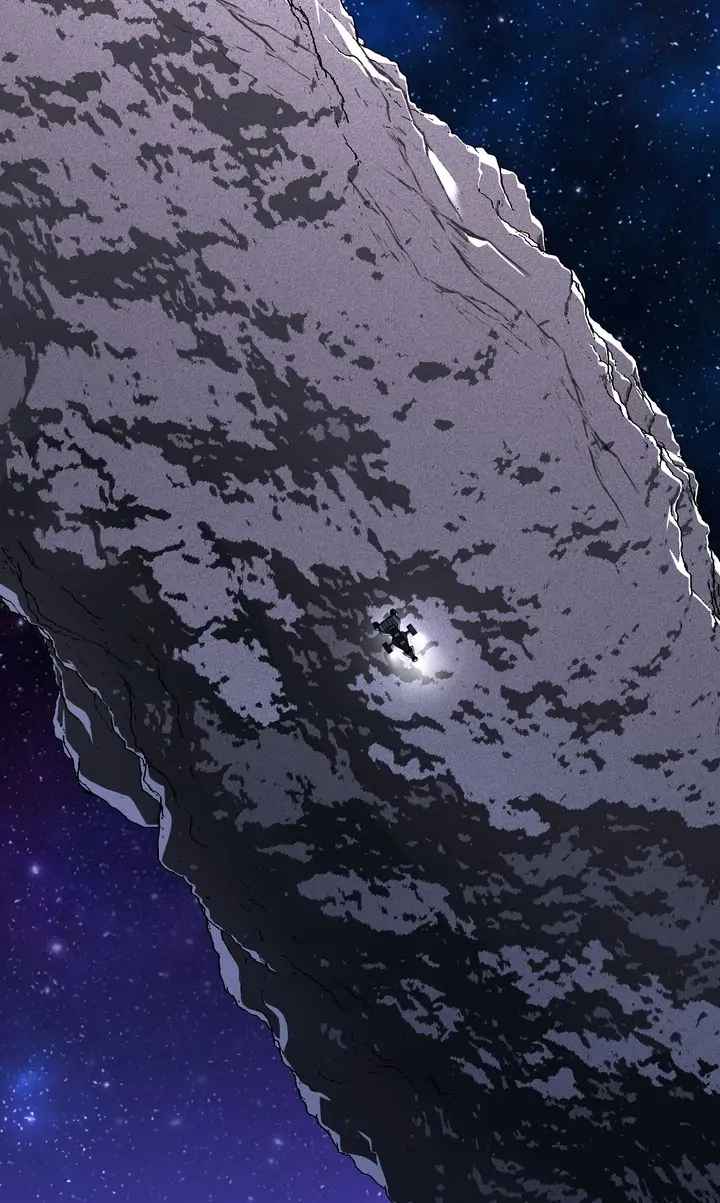 81