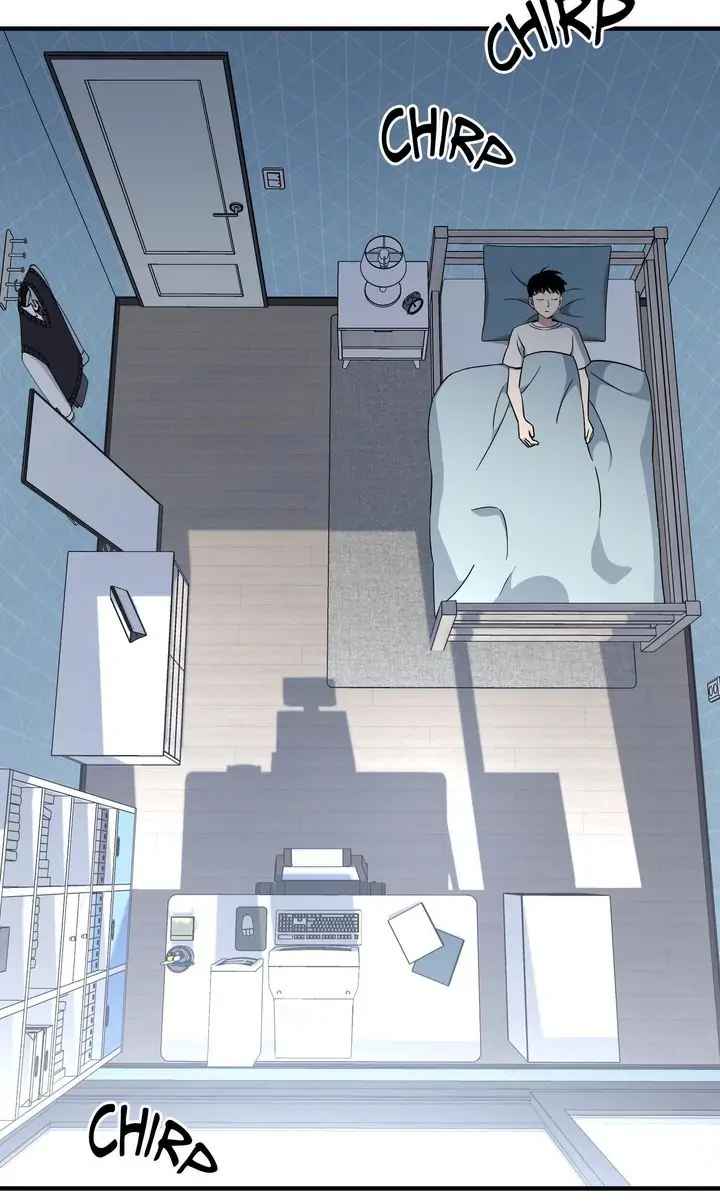 51