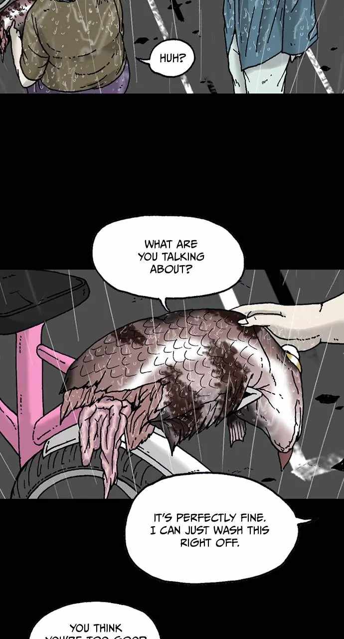 66