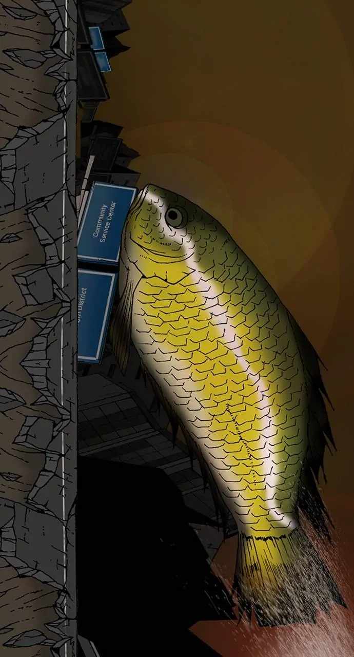 54