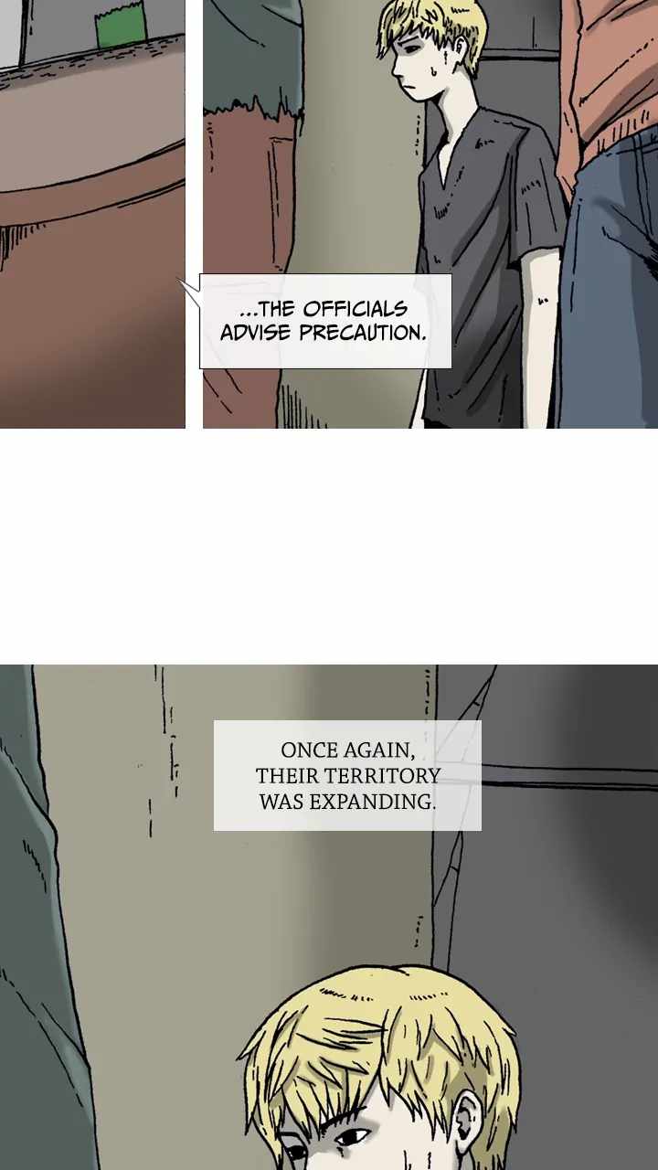 65