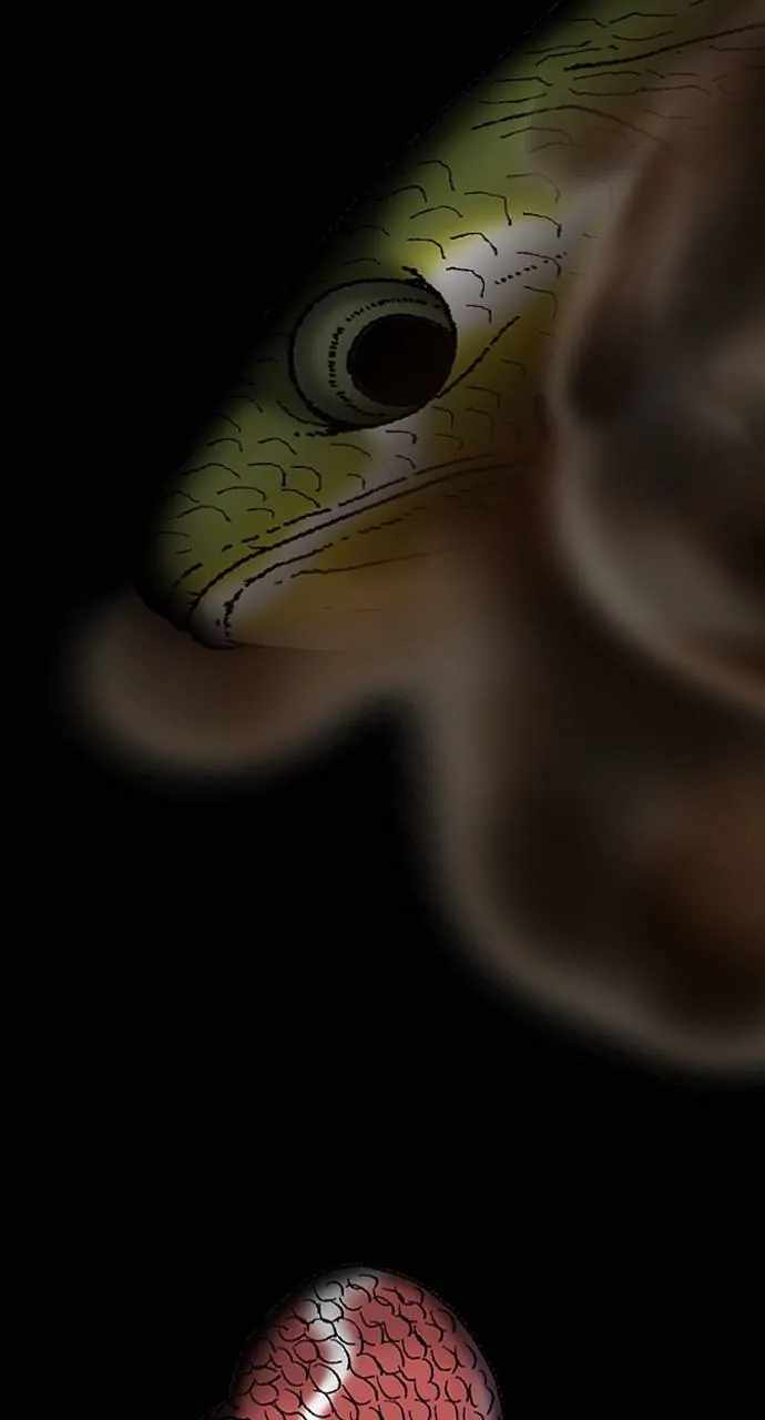 67
