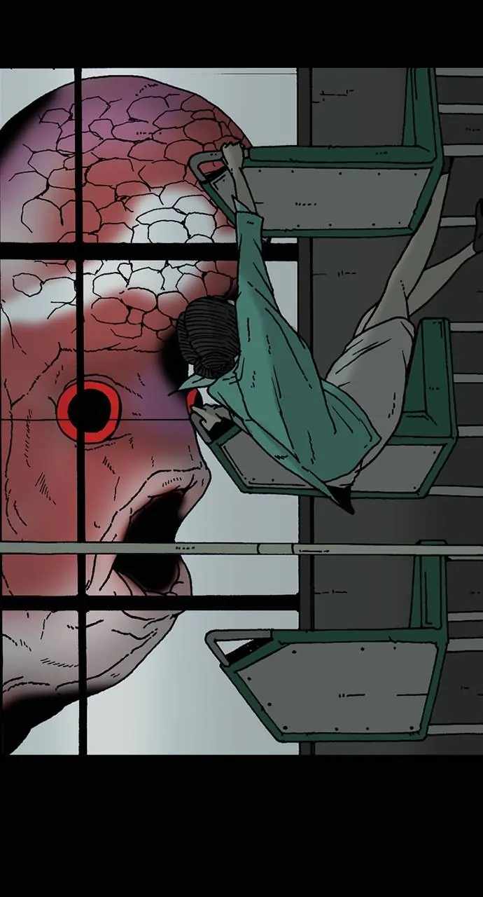 50