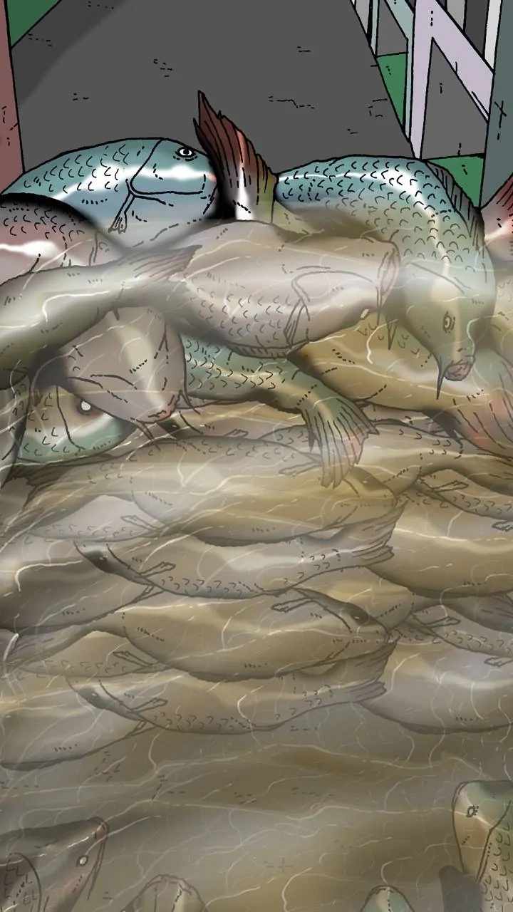 77