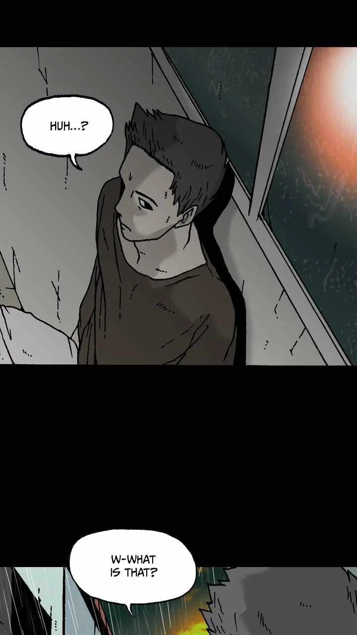 81