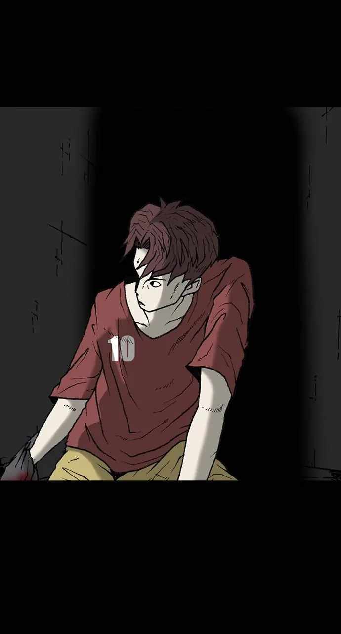 81