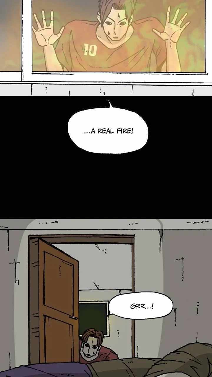 46