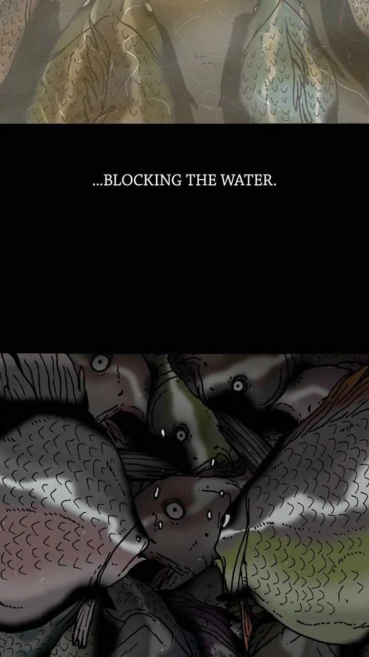 78