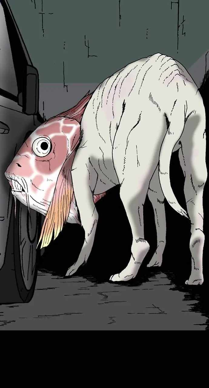 80