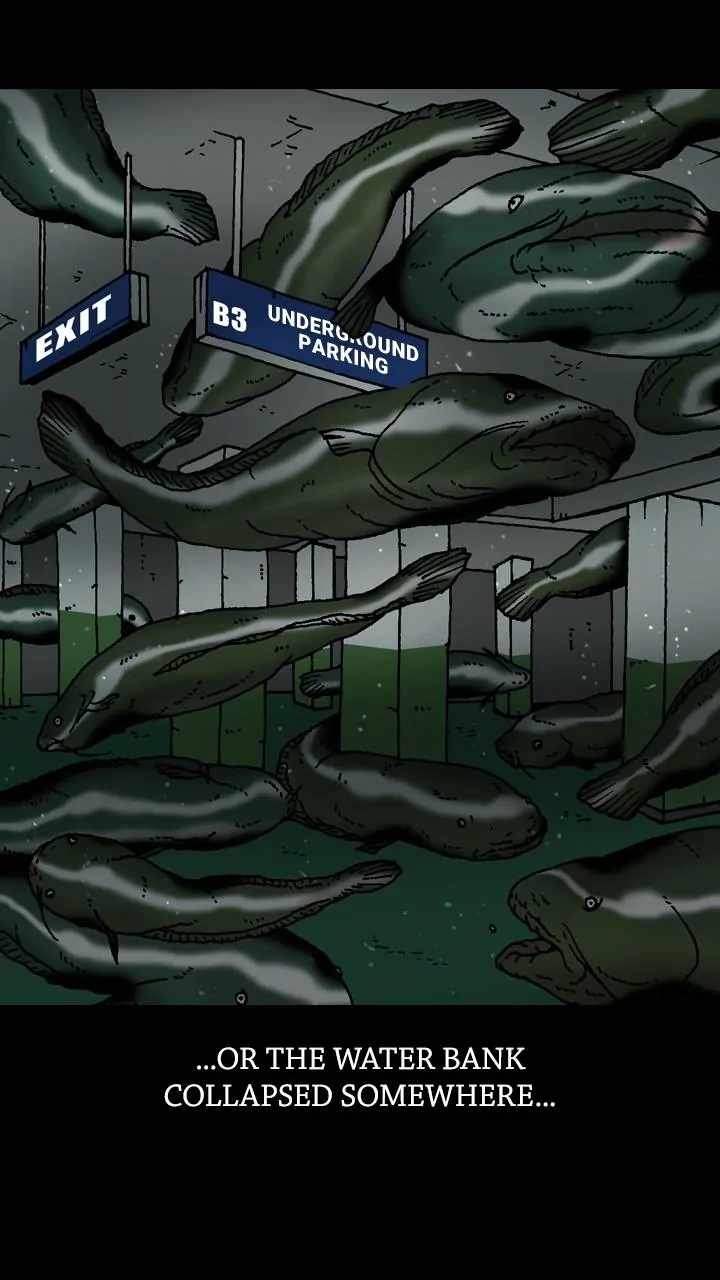 46