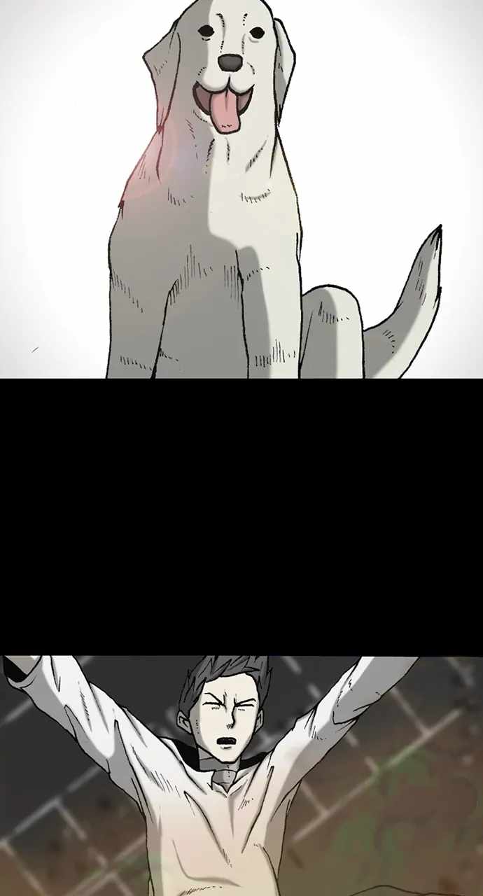 65
