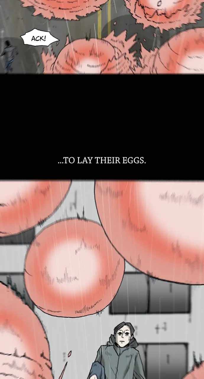 66