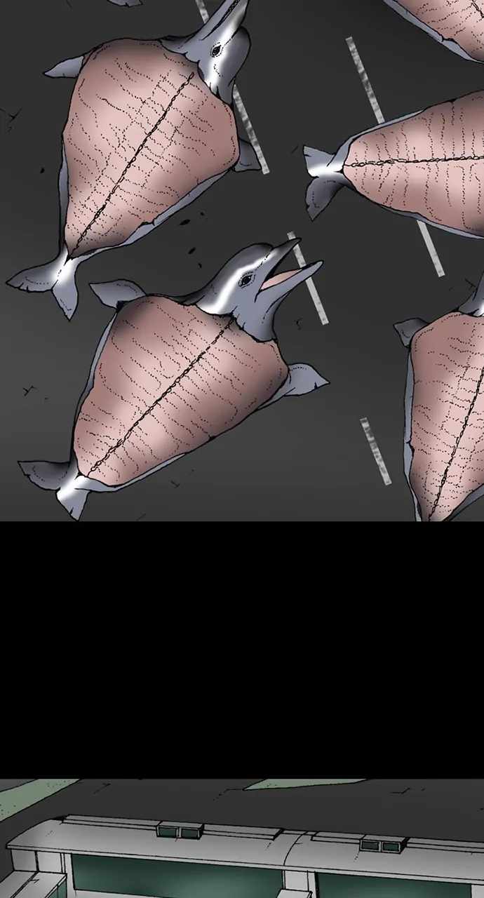 66