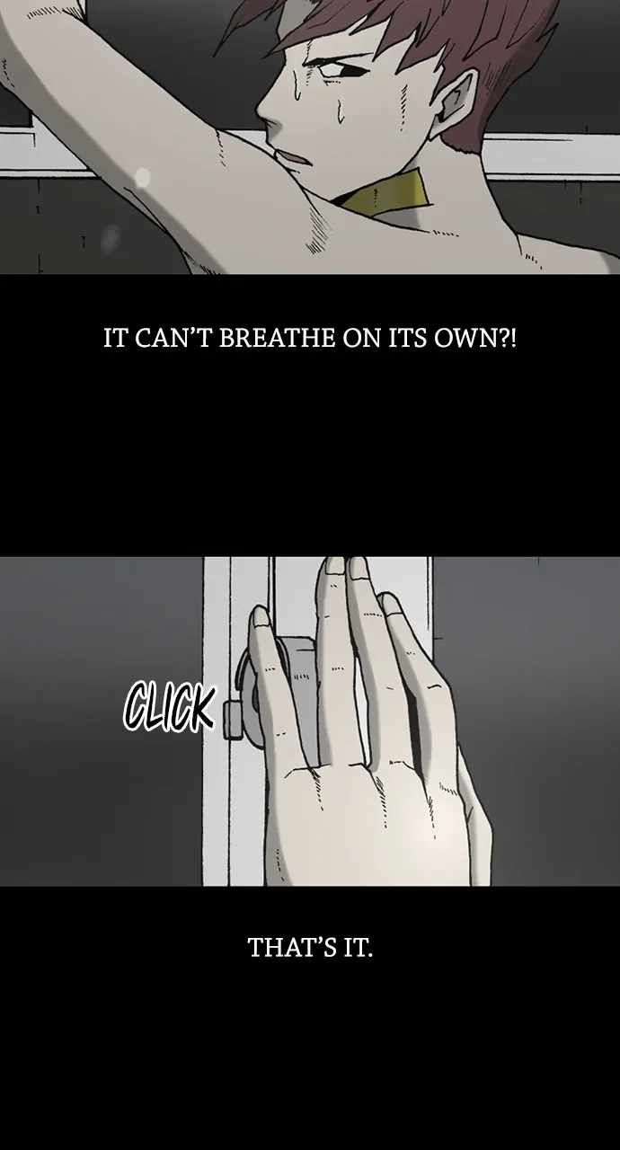 61