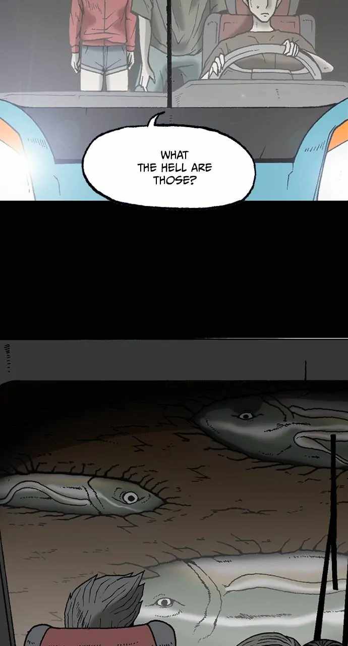 41